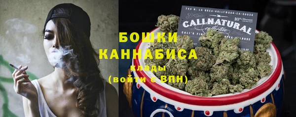 ПСИЛОЦИБИНОВЫЕ ГРИБЫ Пересвет
