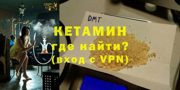 сатива Балахна